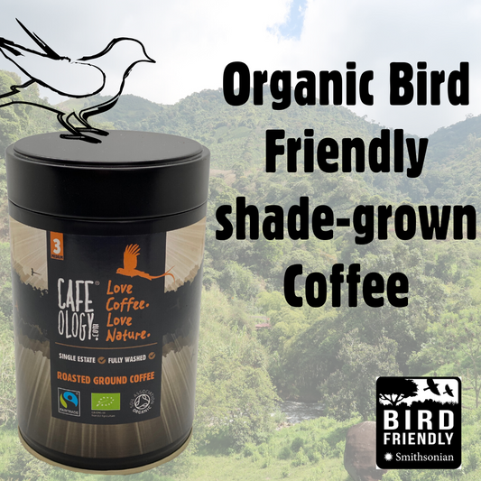 5 Years of our Bird Friendly Coffee Award & Celebrating the Best 3 Coffees